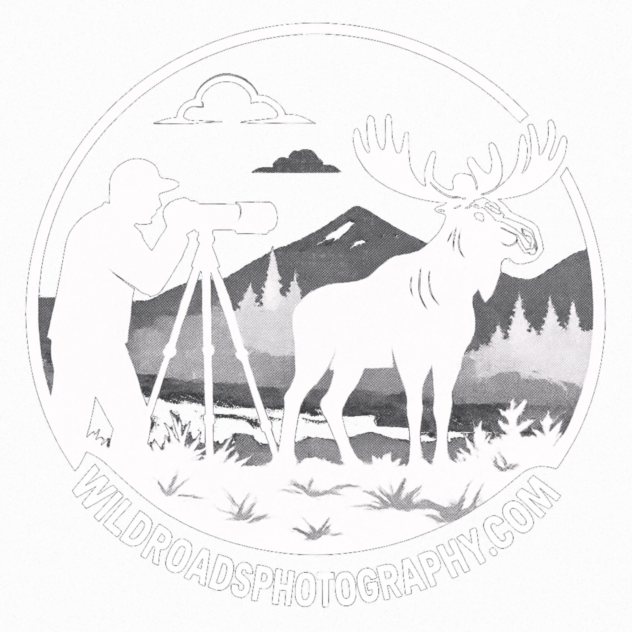 Wild Roads Photography